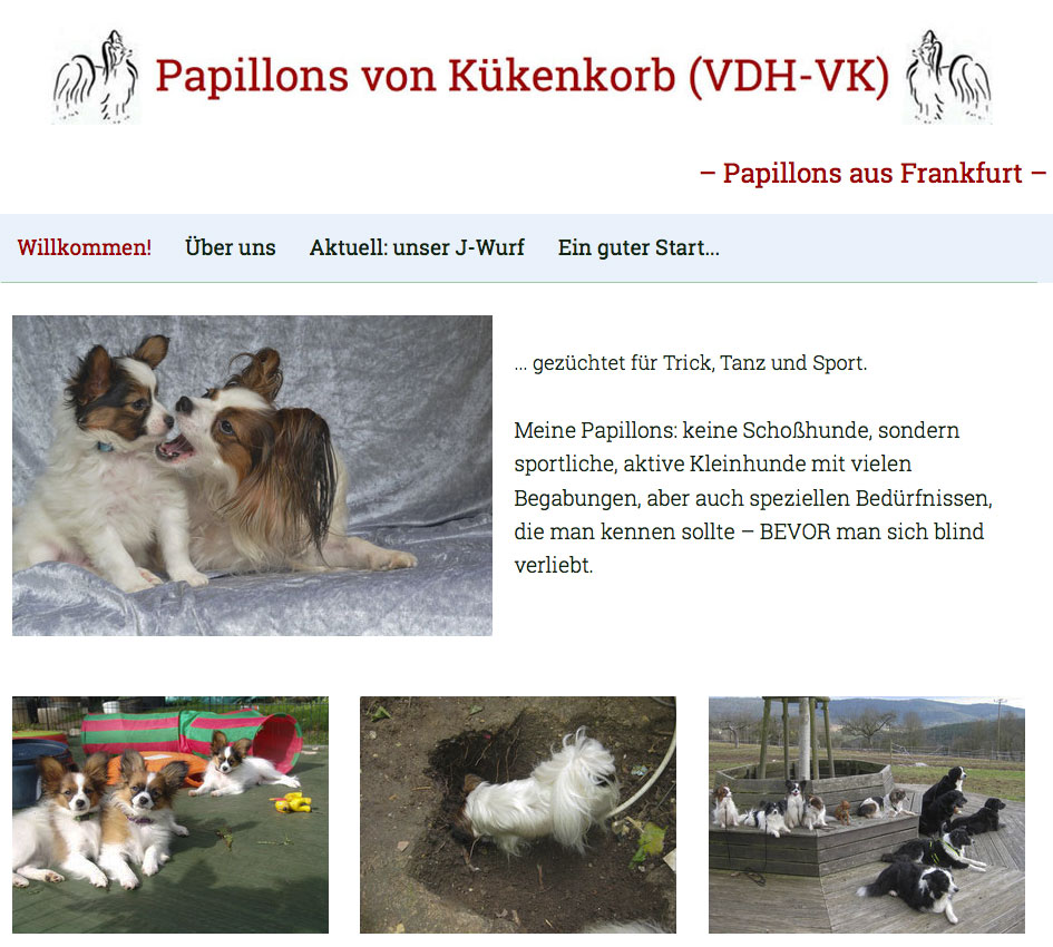 Papillons-vom Kükenkorb